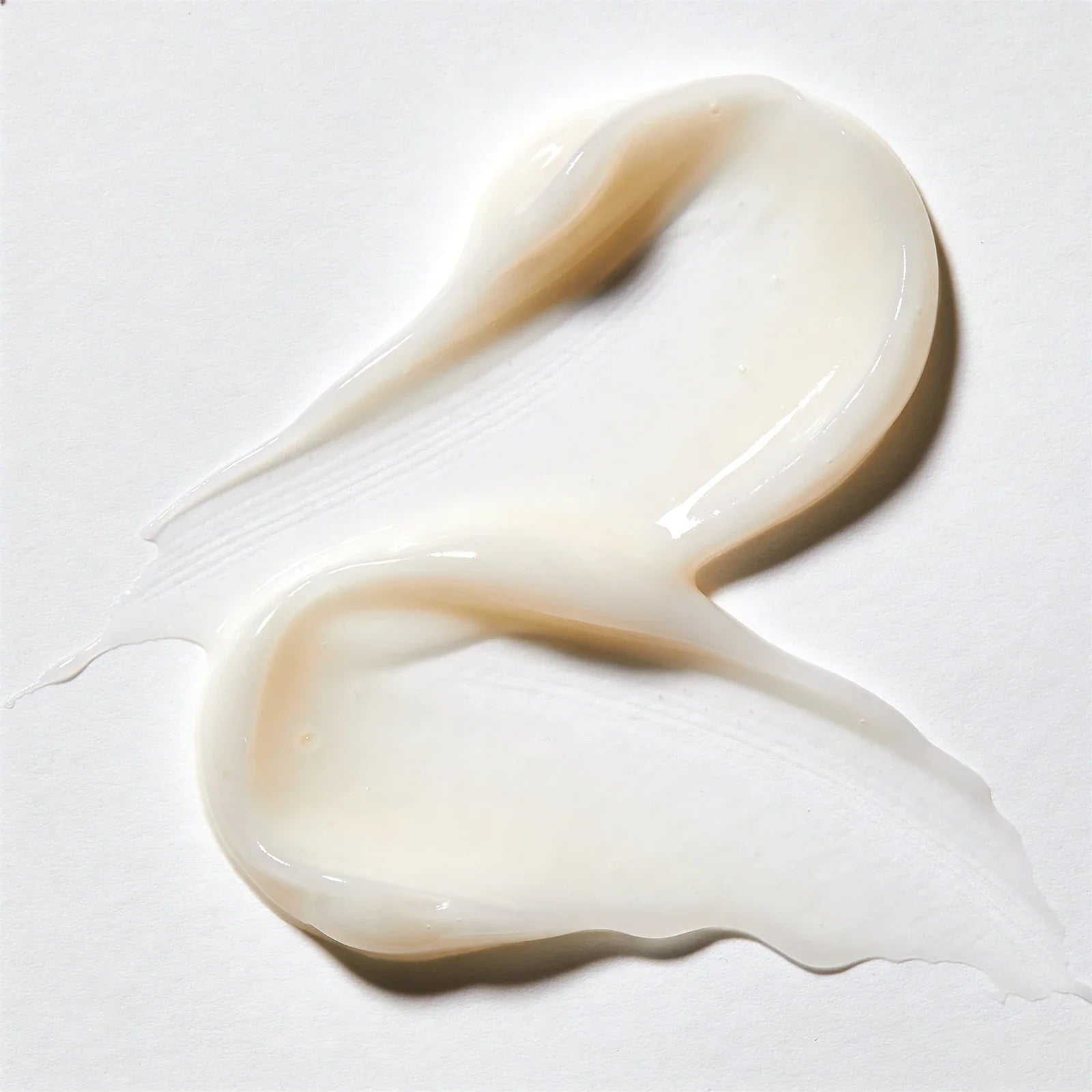 AUTEUR Creams collection