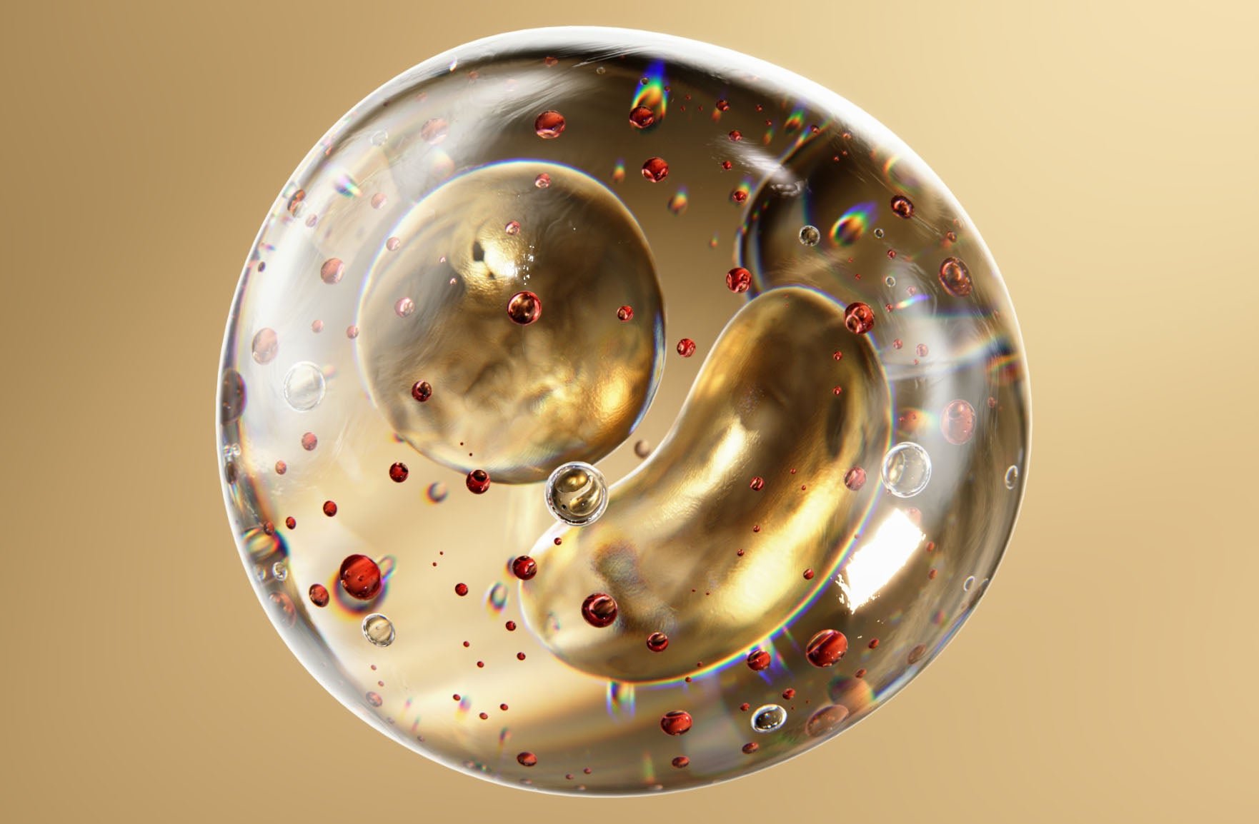 Skin Barrier Repair Products: A New Standard In Skincare