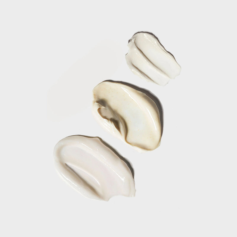 AUTEUR Definitive Discovery Set texture swatches