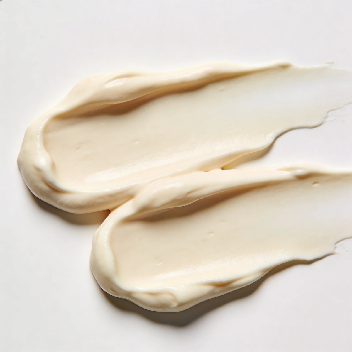 Ceramides ingredient
